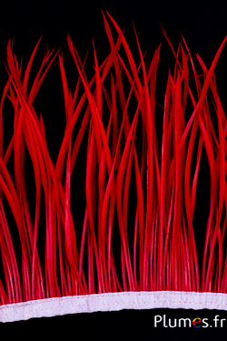 Oie guirlande - long. des plumes 13-19 cm - rouge
